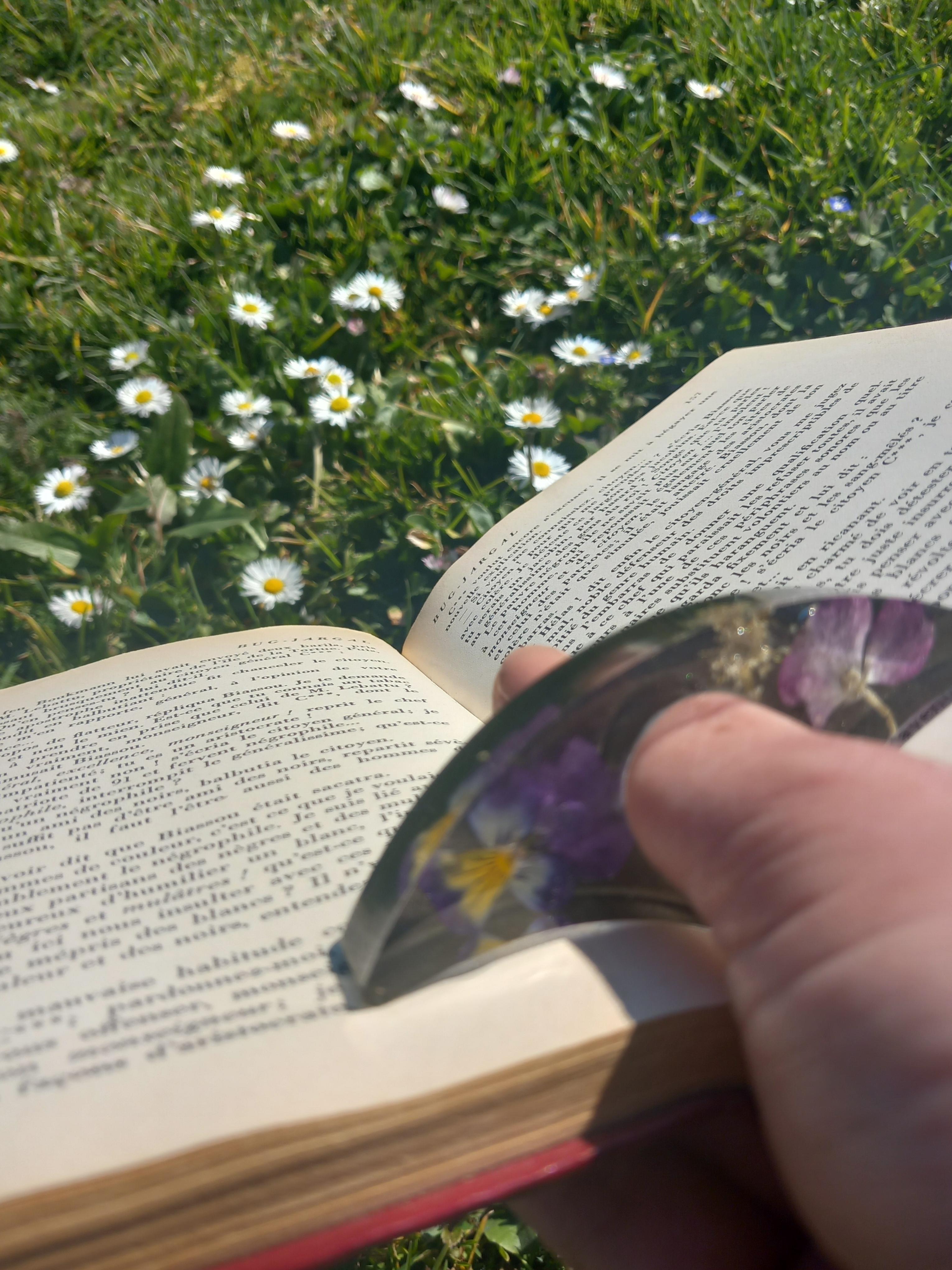 Autour du livre