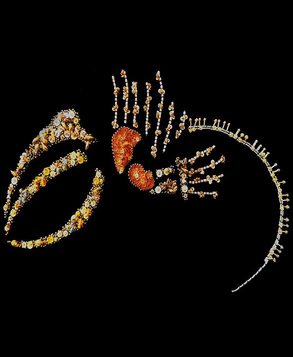 product_list_image_cover