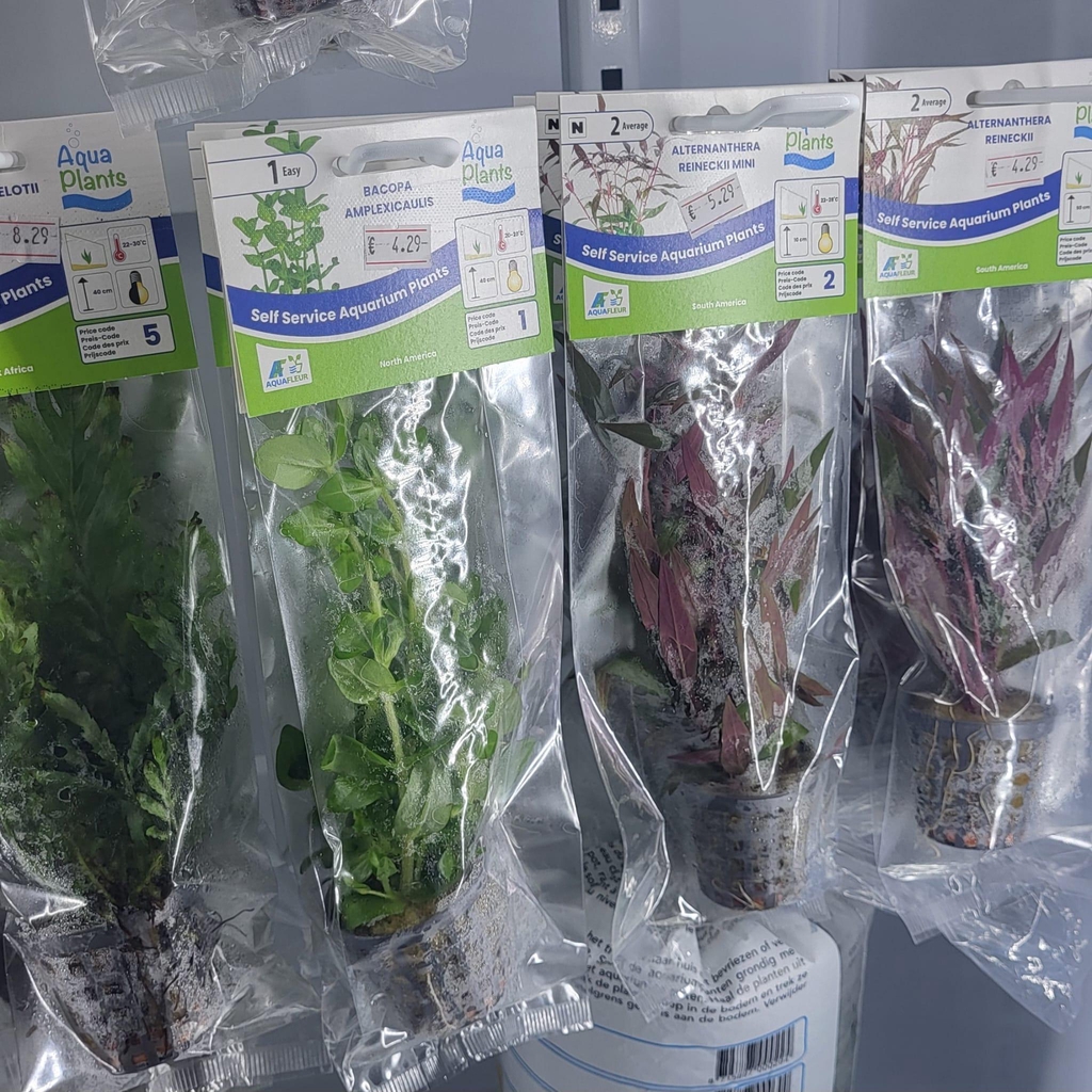 Aquaplants direct