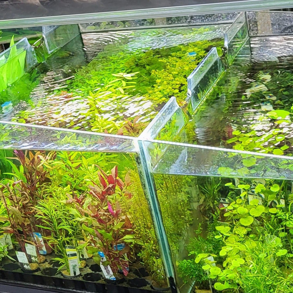 Snel en Veilig verpakt