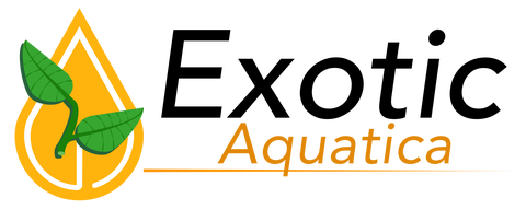 gemakkelijk te bestellen gegarandeerd op voorraad!