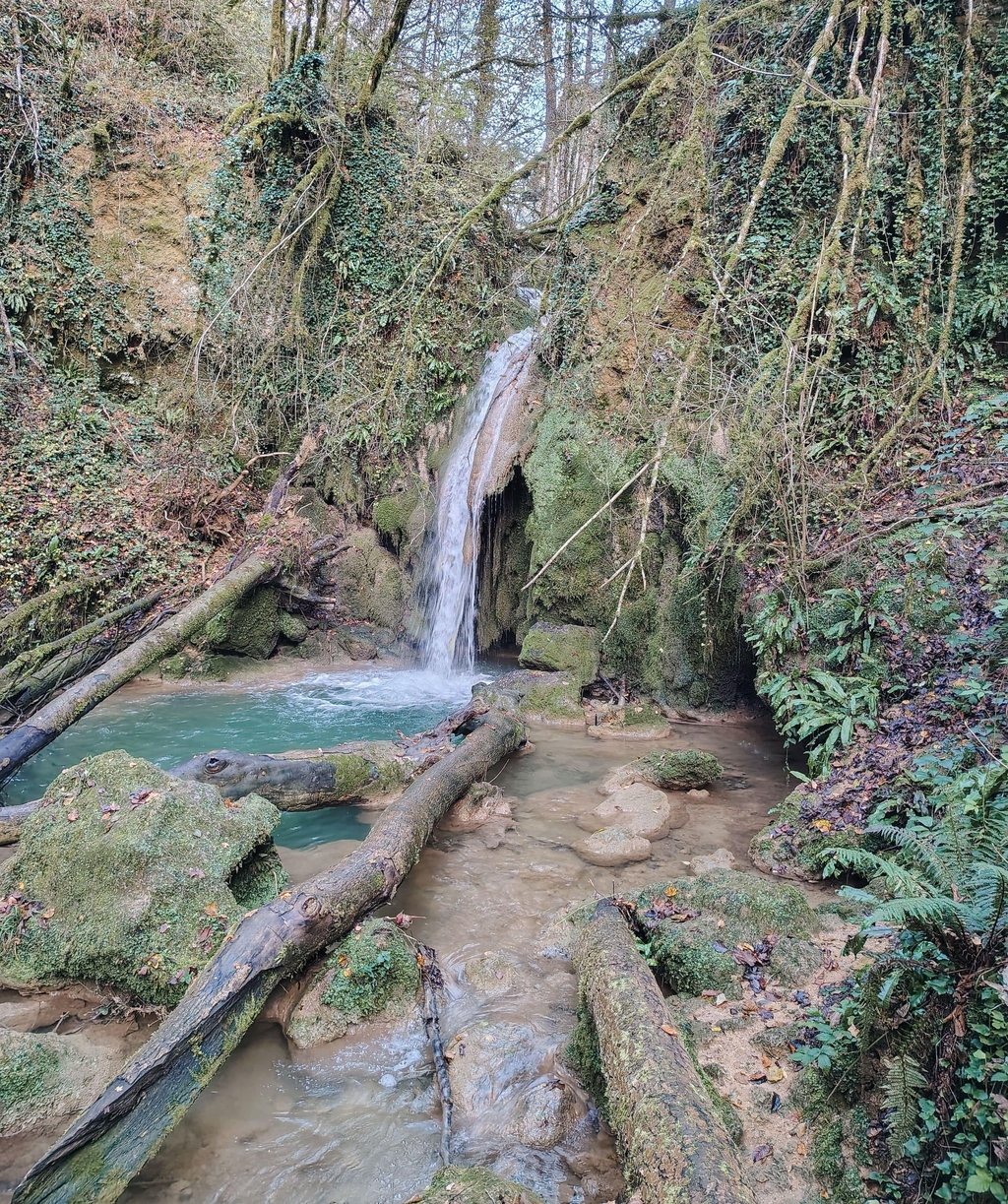 cascade nature sauvage jura