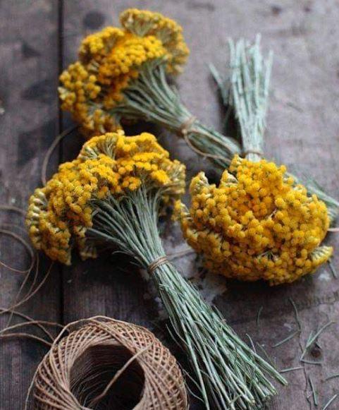 des petites bottes de fleurs séchées aux couleurs naturelles
