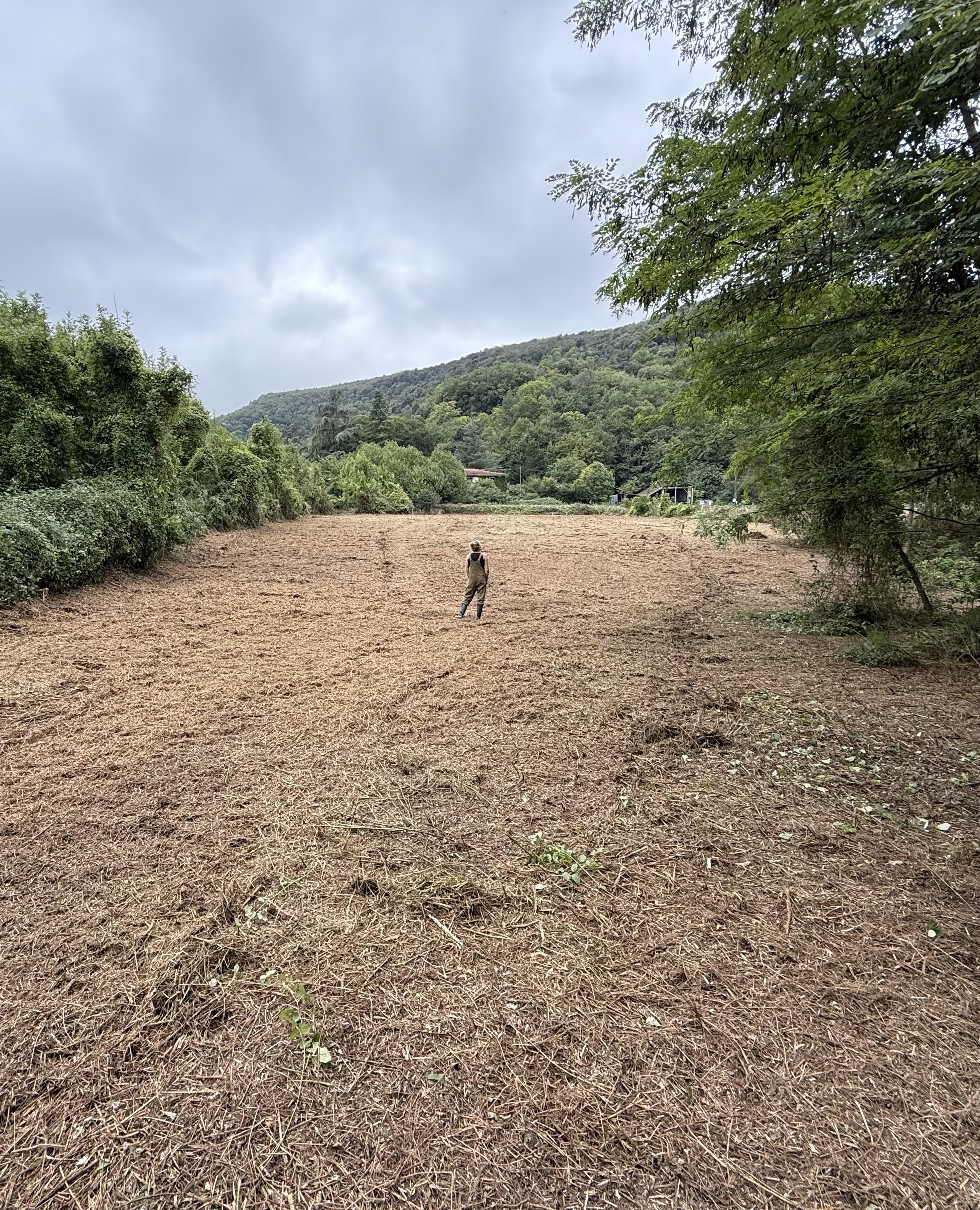 Le terrain dans son état brut
