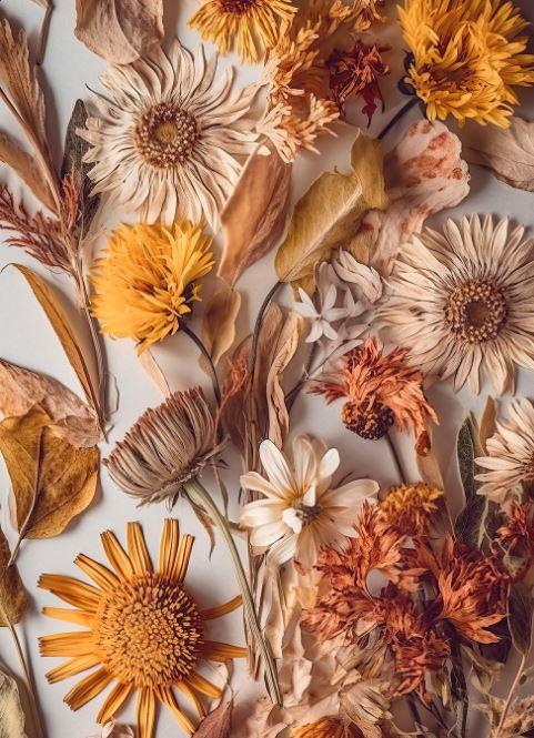 Les mains qui cueillent les fleurs