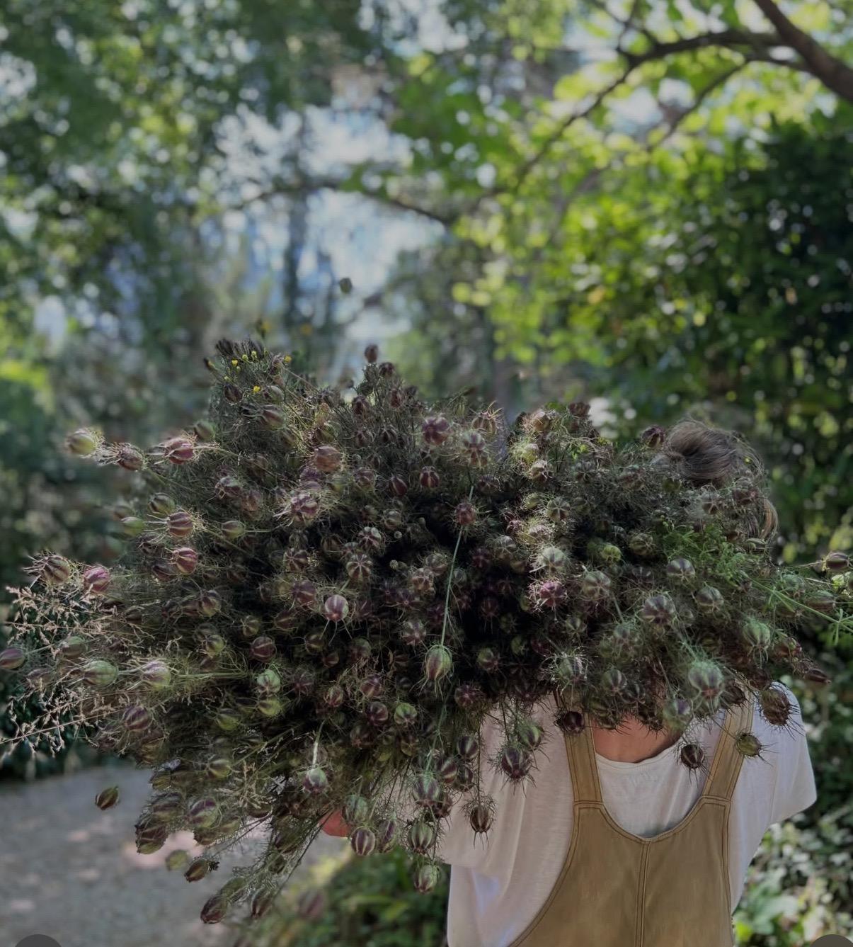 Une brassée de fleurs sur les épaules de Melissa 