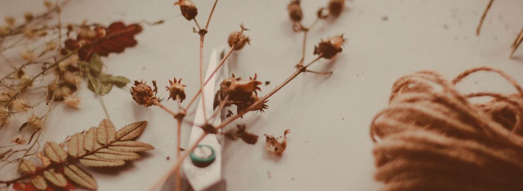 zoom sur des ciseaux et des fleurs séchées