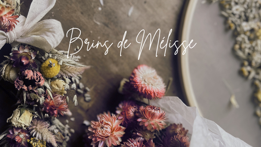 les fleurs séchées que Brins de Mélisse utilise dans ses créations florales