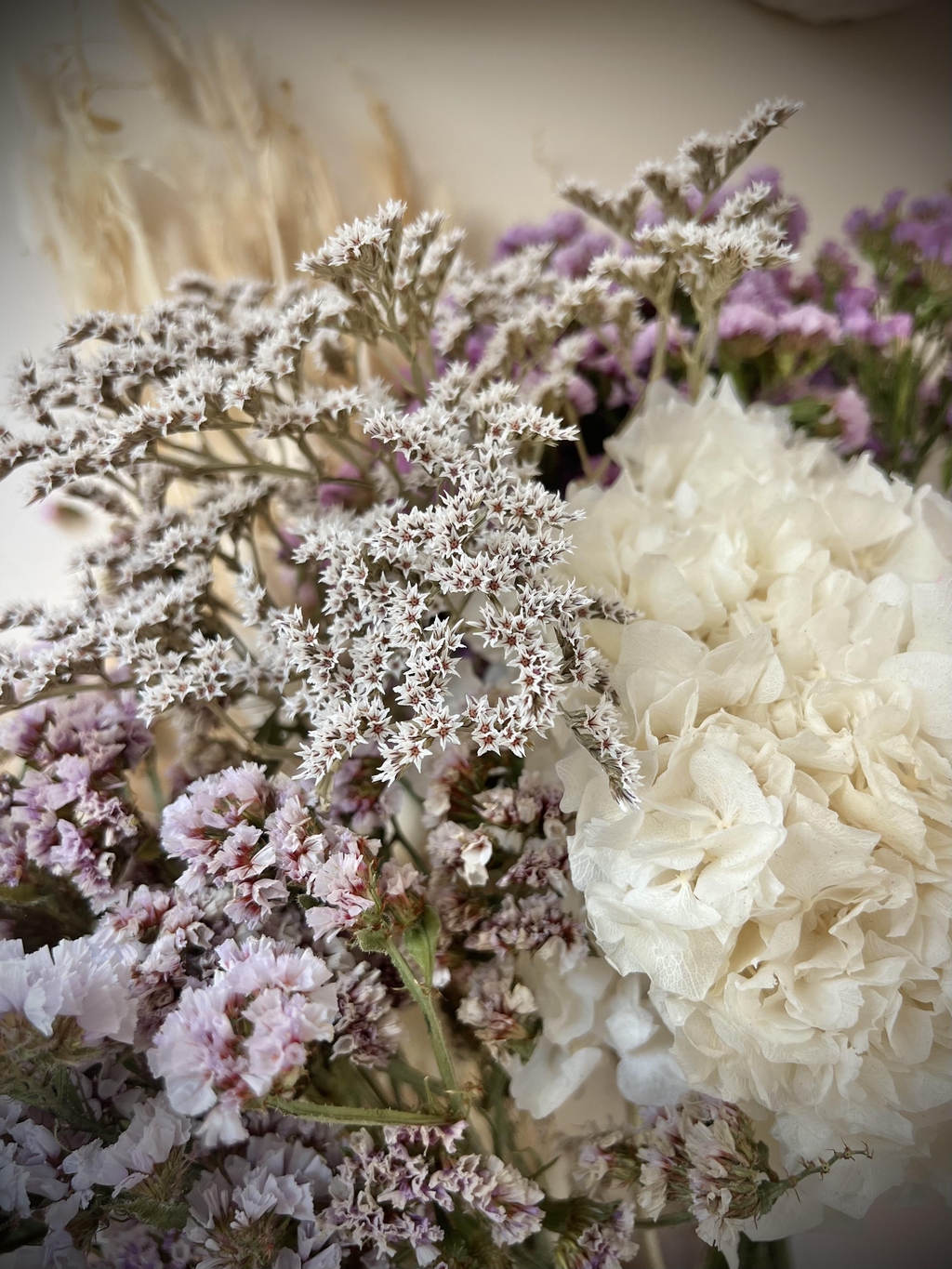 fleurs séchées parmes