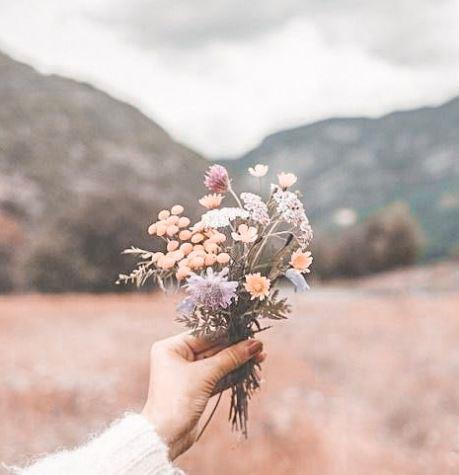 une main avec un petit bouquet de fleurs sauvages