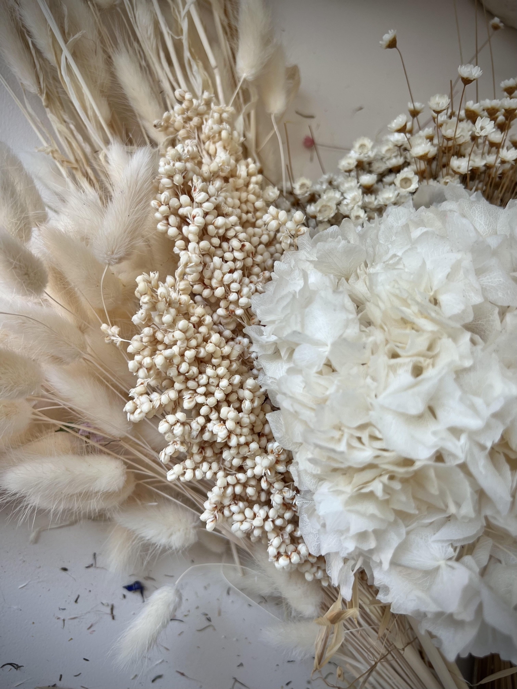 fleurs séchées blanches