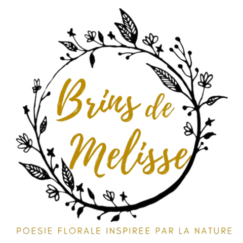 Logo de Brins de Mélisse poésie florale en Ariège