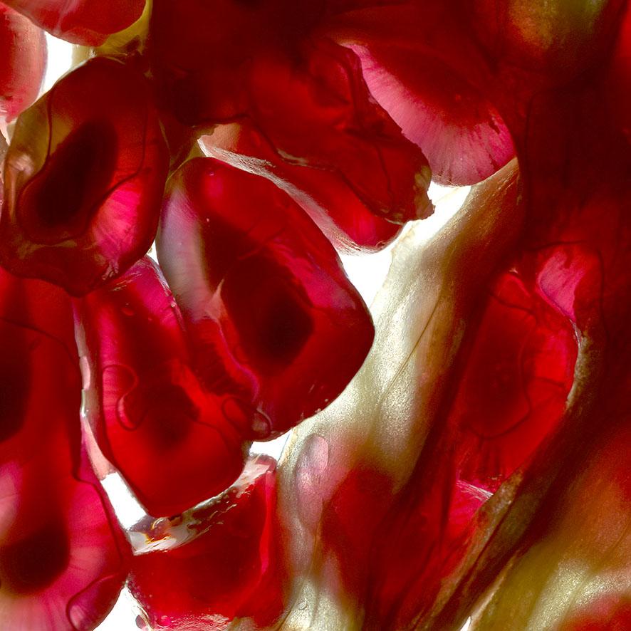 Organic Collection ©