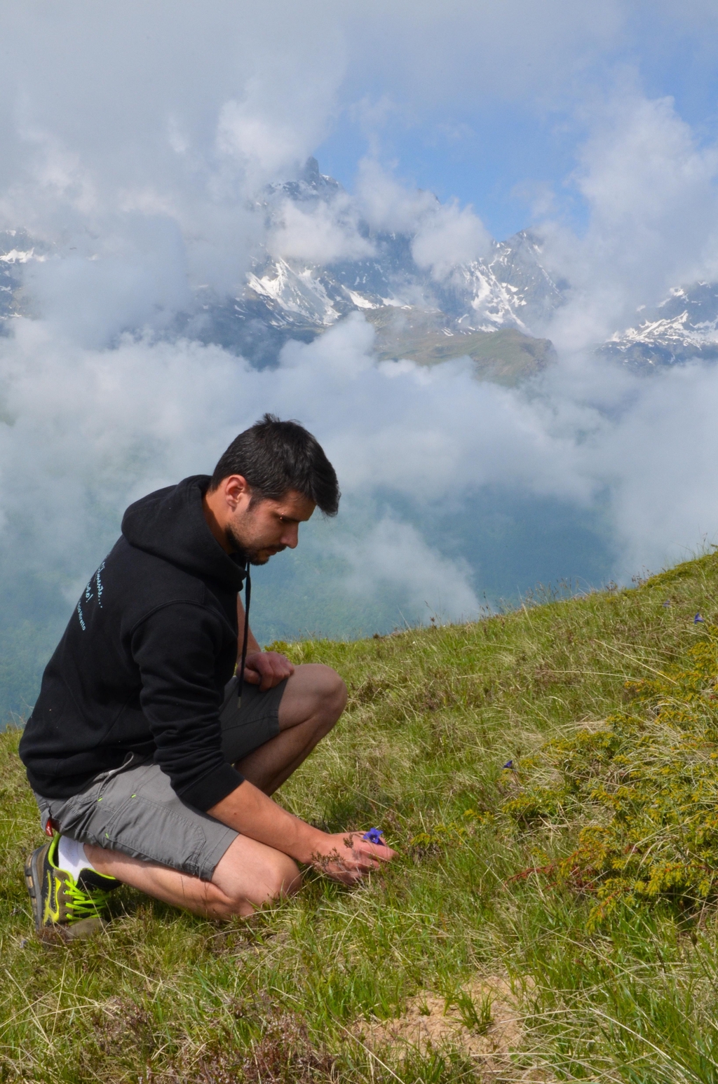 banner_image
