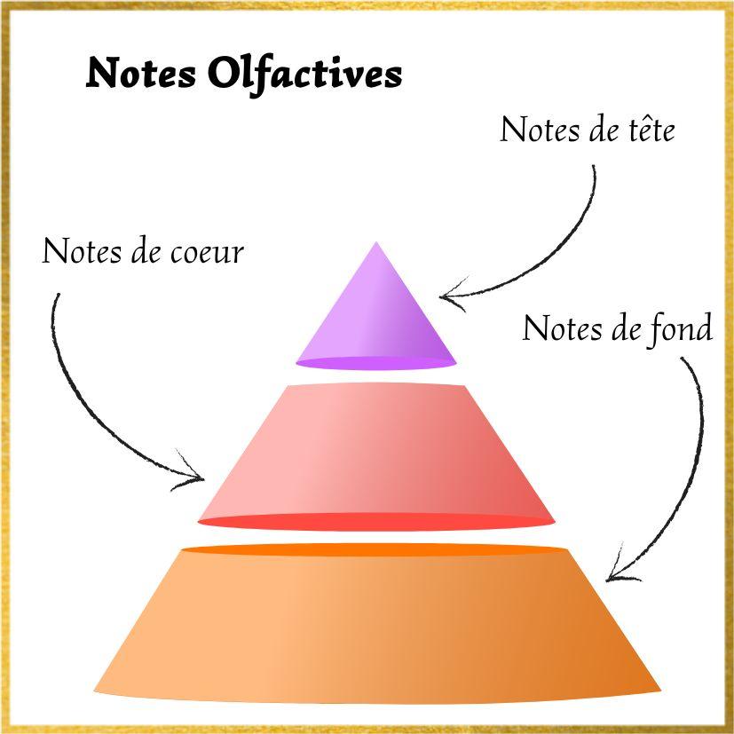 Notes olfactives