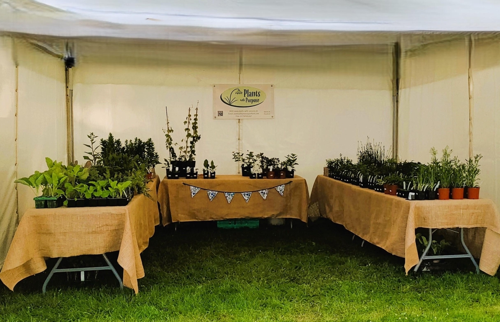 Throughout the year you can find me at the occasional market or plant fair.



These are the remaining dates for 2026:



Sat 26th September

Sat 31st October

Blairgowrie Farmers and Producers Market

Wellmeadow

Blairgowrie

PH10 6AS