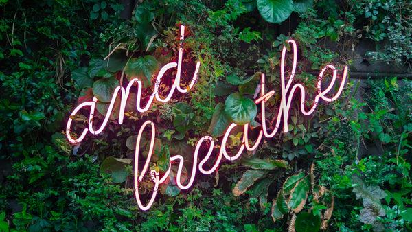 Welcome to Wildflowers Healing.

A magickal place where the healing can truly begin.