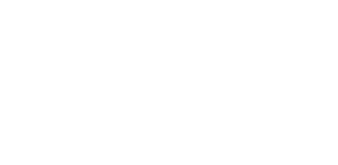 Bienvenue sur la boutique Whiskers Motors