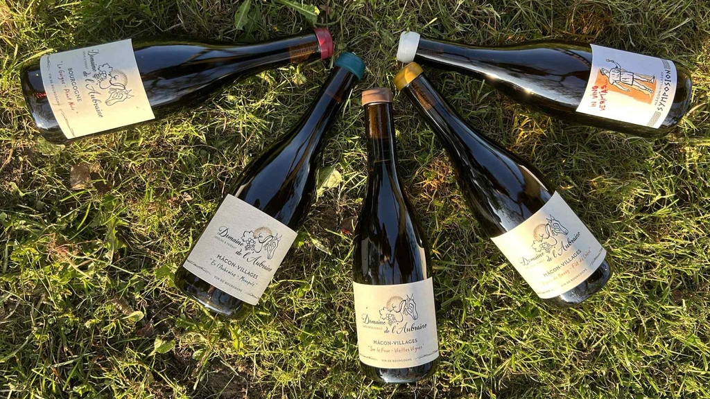 Dégustation de vin, vin bio, Mâconnais, Domaine de l'Aubraine 