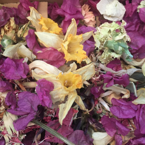 banner_image