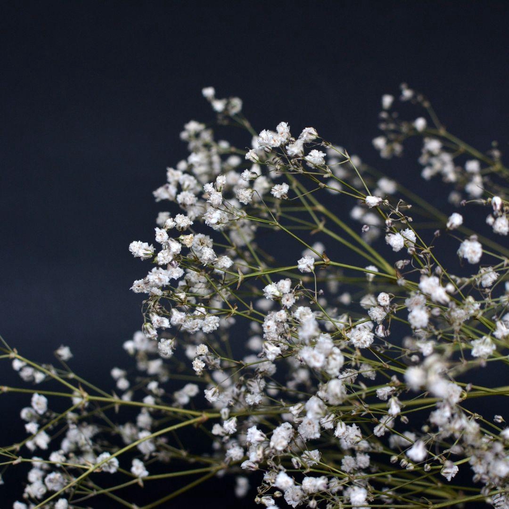 banner_image