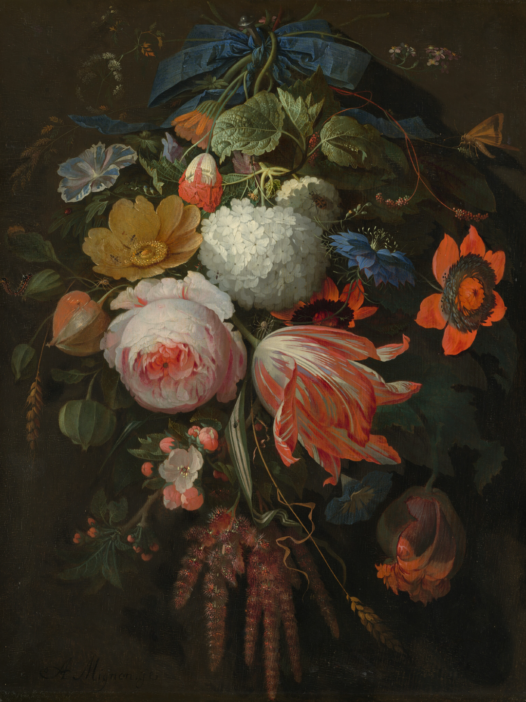 Flores