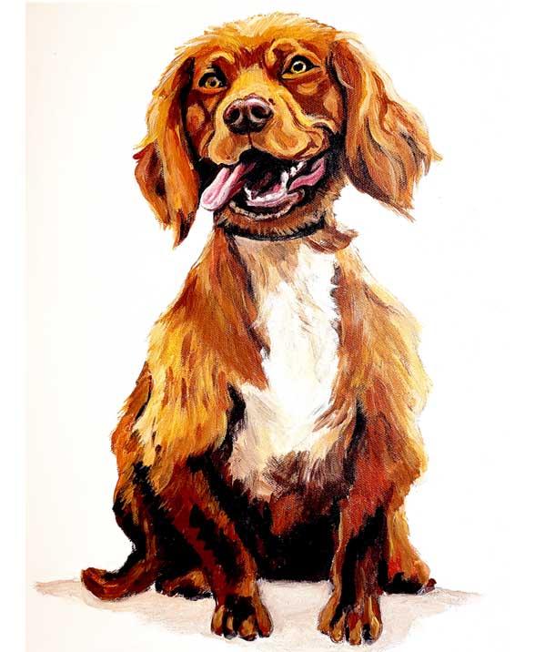 product_list_image_cover