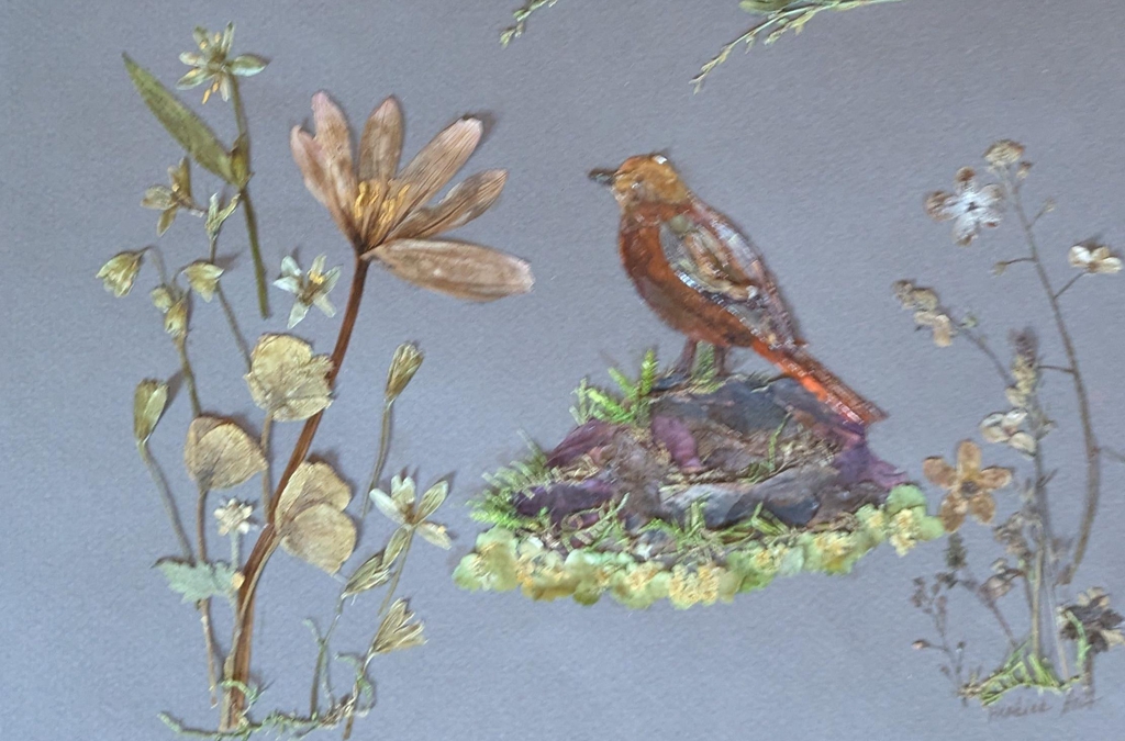 Art botanique avec oiseau en fleurs séchées, ambiance chalet