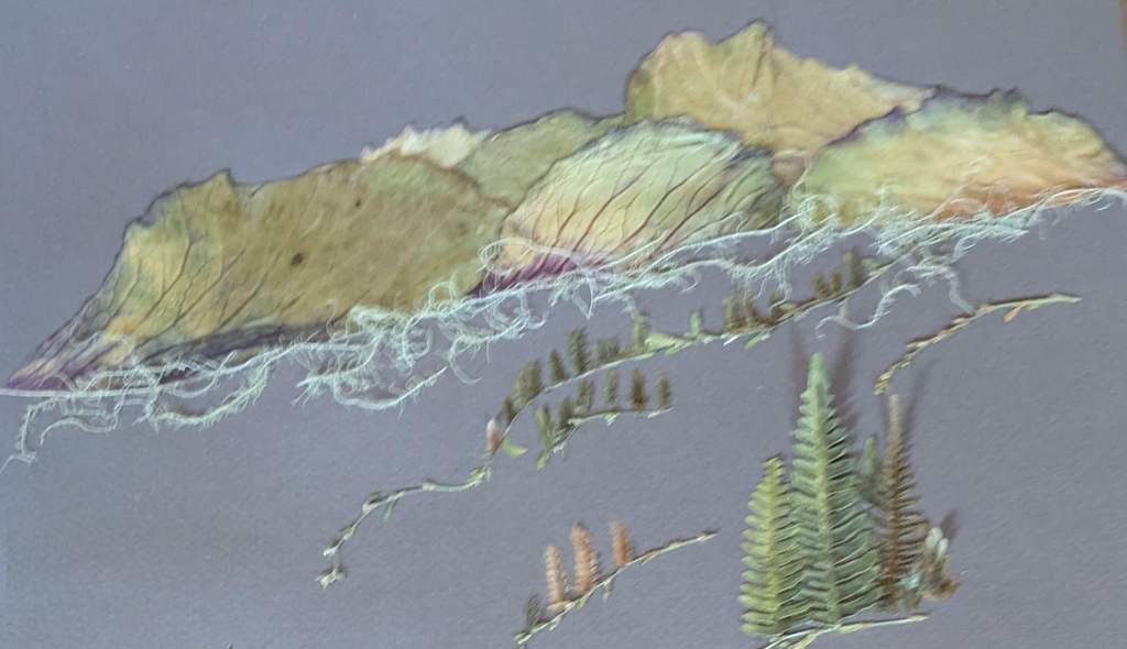 Paysage montagne en fleurs séchées, inspiration nature alpine