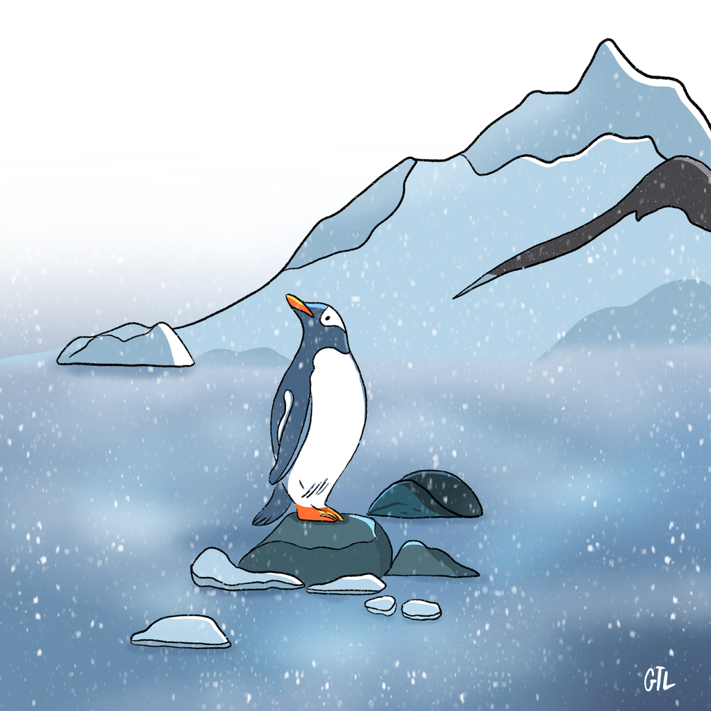 product_list_image_cover