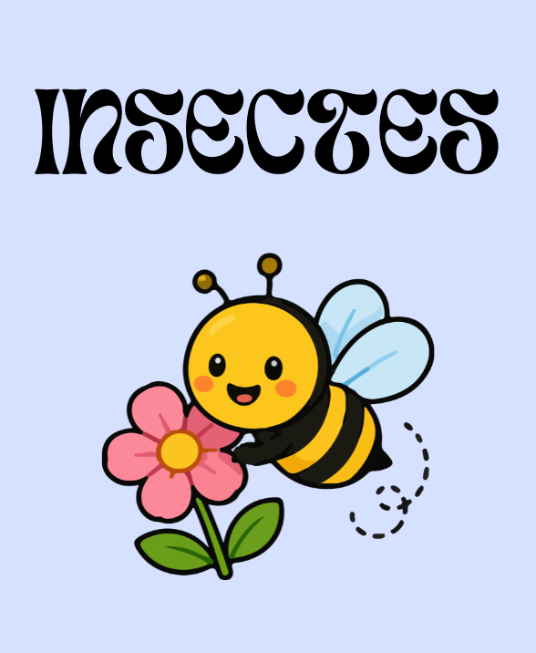 product_list_image_cover