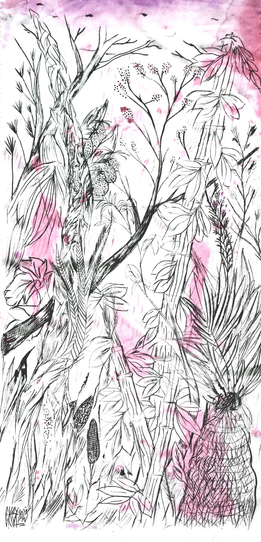 Végétation vietnamienne dessinées au stylo noir et touches de peinture rose