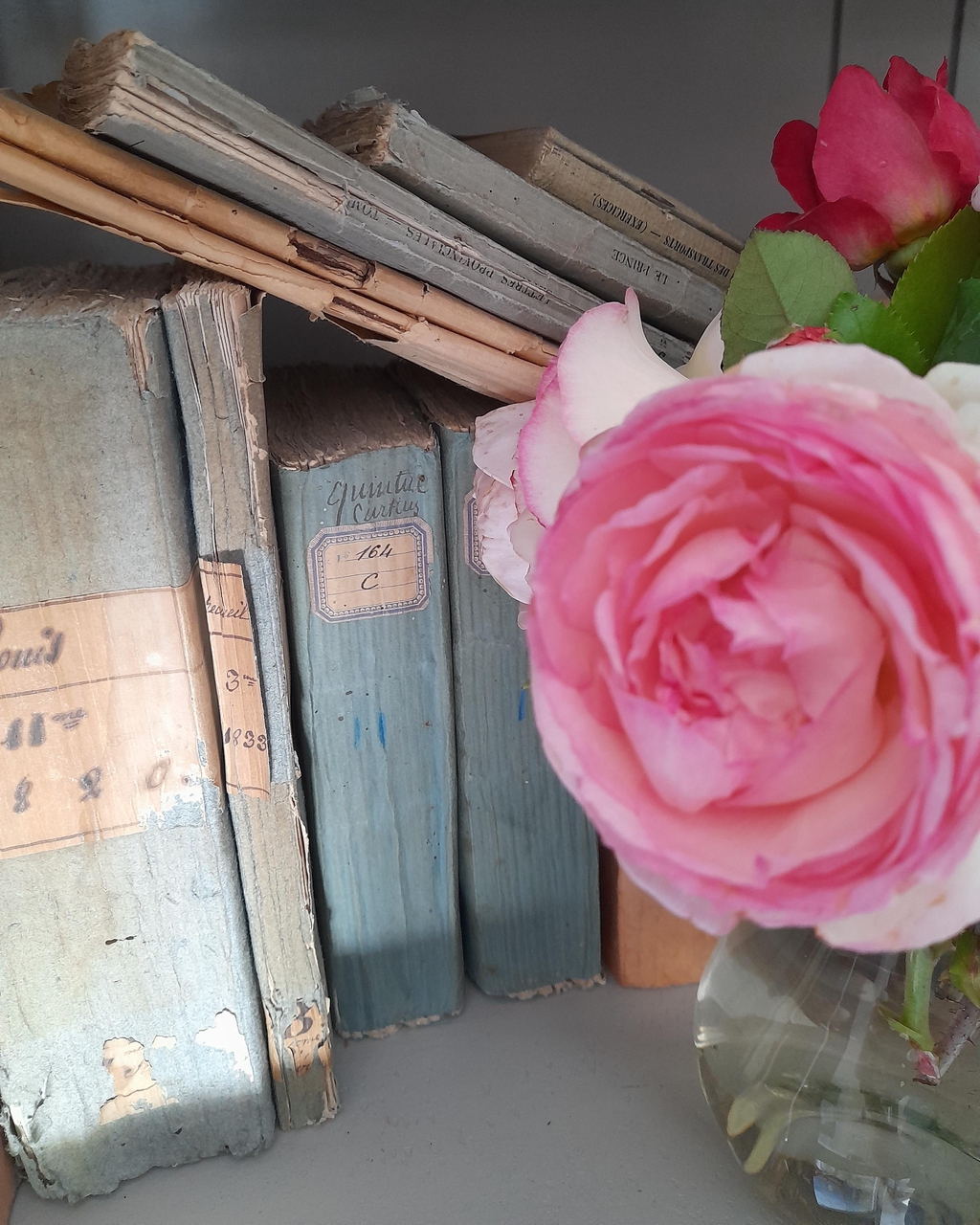 BROCANTE
COTTAGE & CHARMILLE
Sélection d'objets anciens 
Campagne de charme
Champêtre Chic 
et Poétique
Decoration et collections, tableaux,Linge ancien, livres et vieux papiers, enfantillages, mercerie ancienne, cuisine et vaisselle ancienne, art de la table, objets de pieté, Art Sacré et Religieux