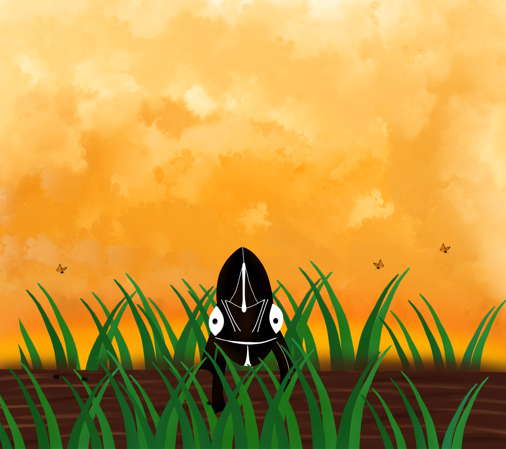 Banner image