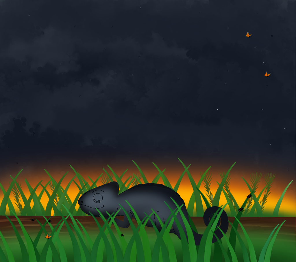 Banner image