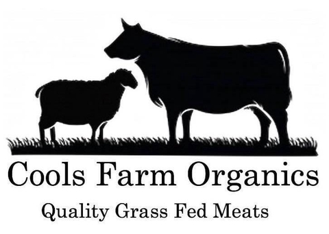 store_logo