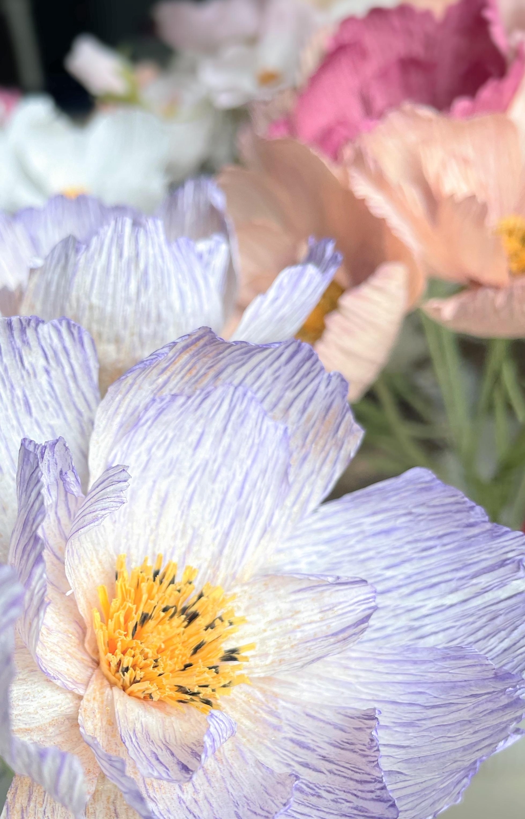 product_list_image_cover