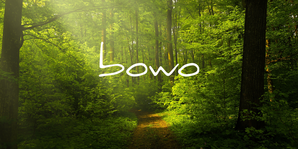 Botany Wonders - Bowo, la Nature en miniature.