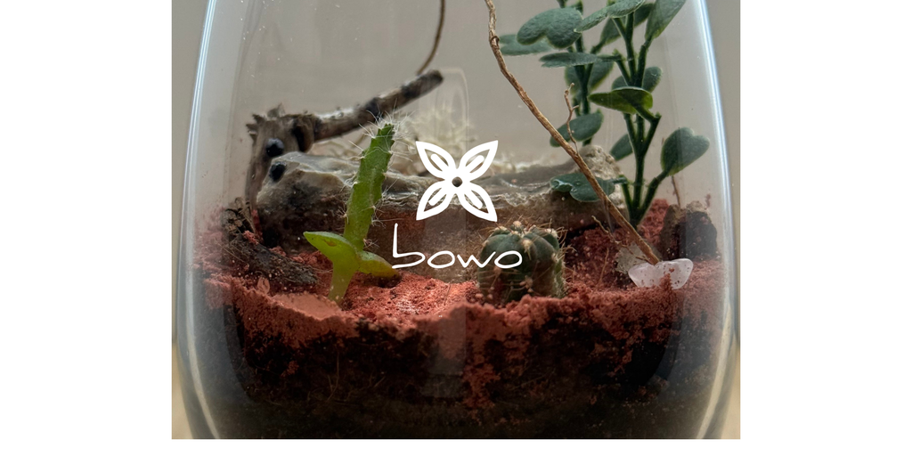 Botany Wonders - Bowo, la Nature en miniature.
