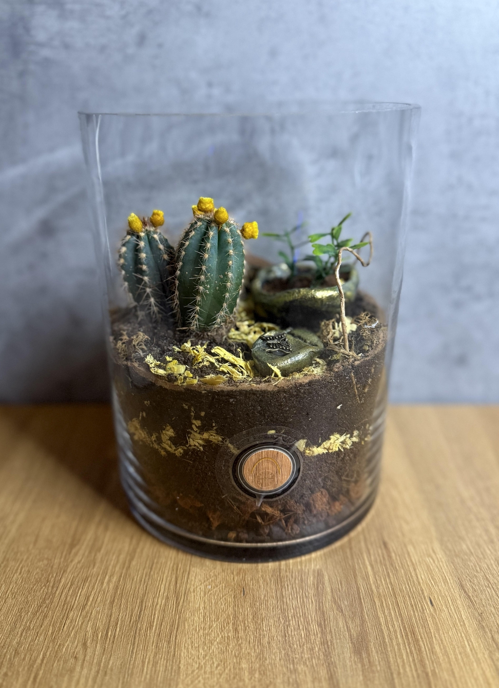 Botany Wonders - Bowo, la Nature en miniature.