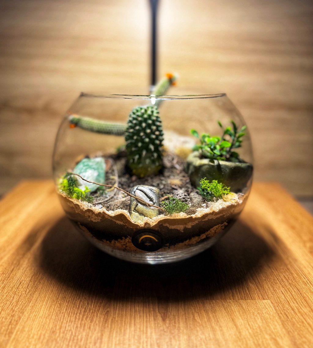 Bowo Home Bénin - Magnifique paysage Nature Miniature