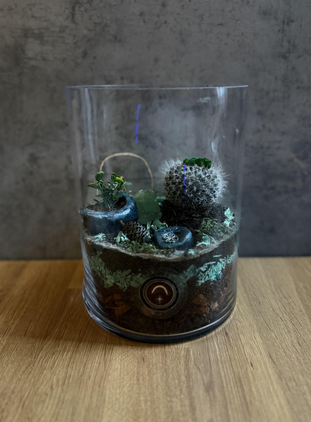 Aynin présente Bowo - Les Terrariums Art Déco connectés - Méditation Nature et Bien-être.