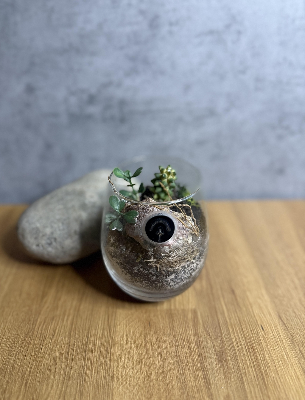 Botany Wonders - Bowo, la Nature en miniature.