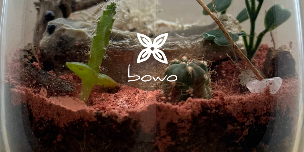 Aynin présente Bowo - Les Terrariums Art Déco Méditation Nature et Bien-être.