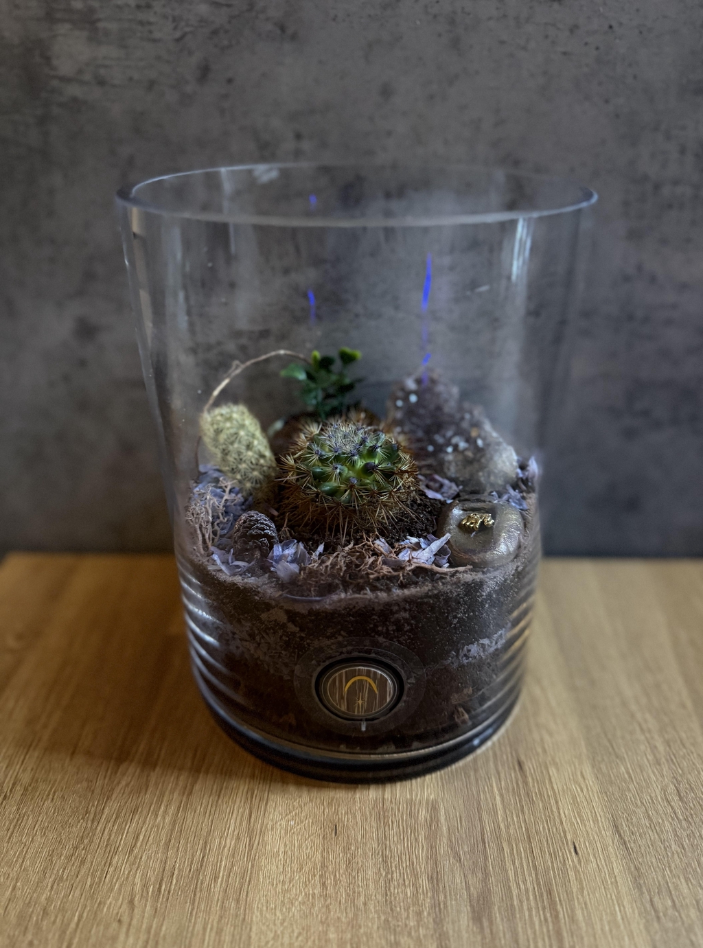 Botany Wonders - Bowo, la Nature en miniature.