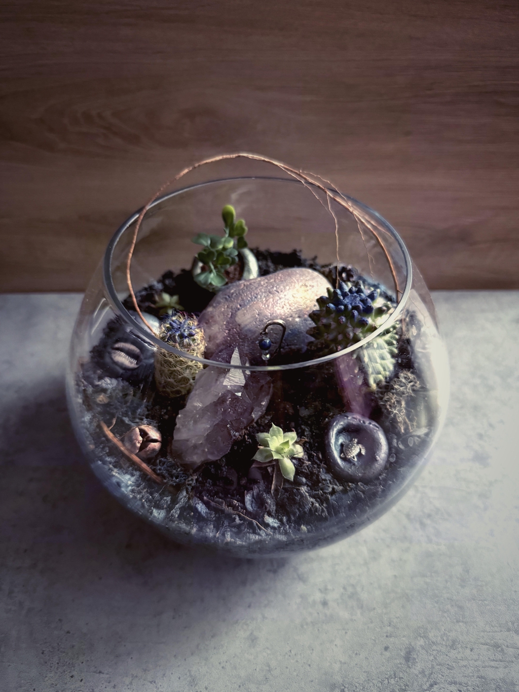 Bowo Deluxe Purple Dream - Terrarium féerique poétique.