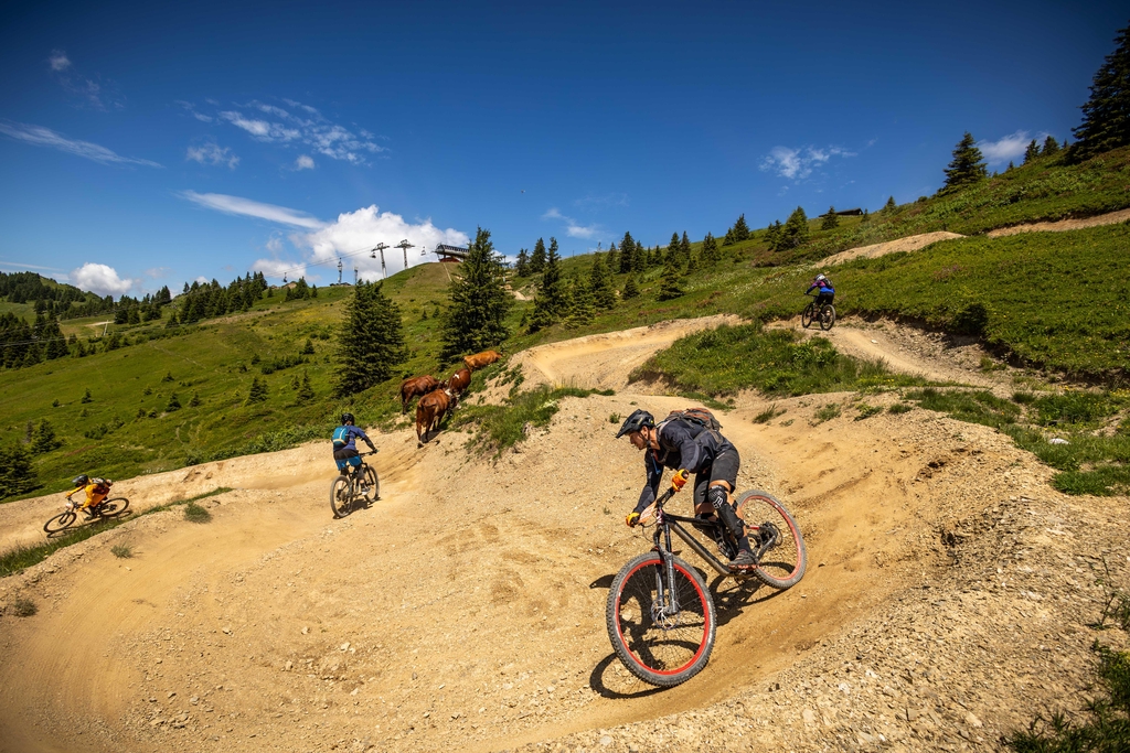 Boutique en ligne Portes du Soleil. Retrouvez les articles de la Pass'Portes.
