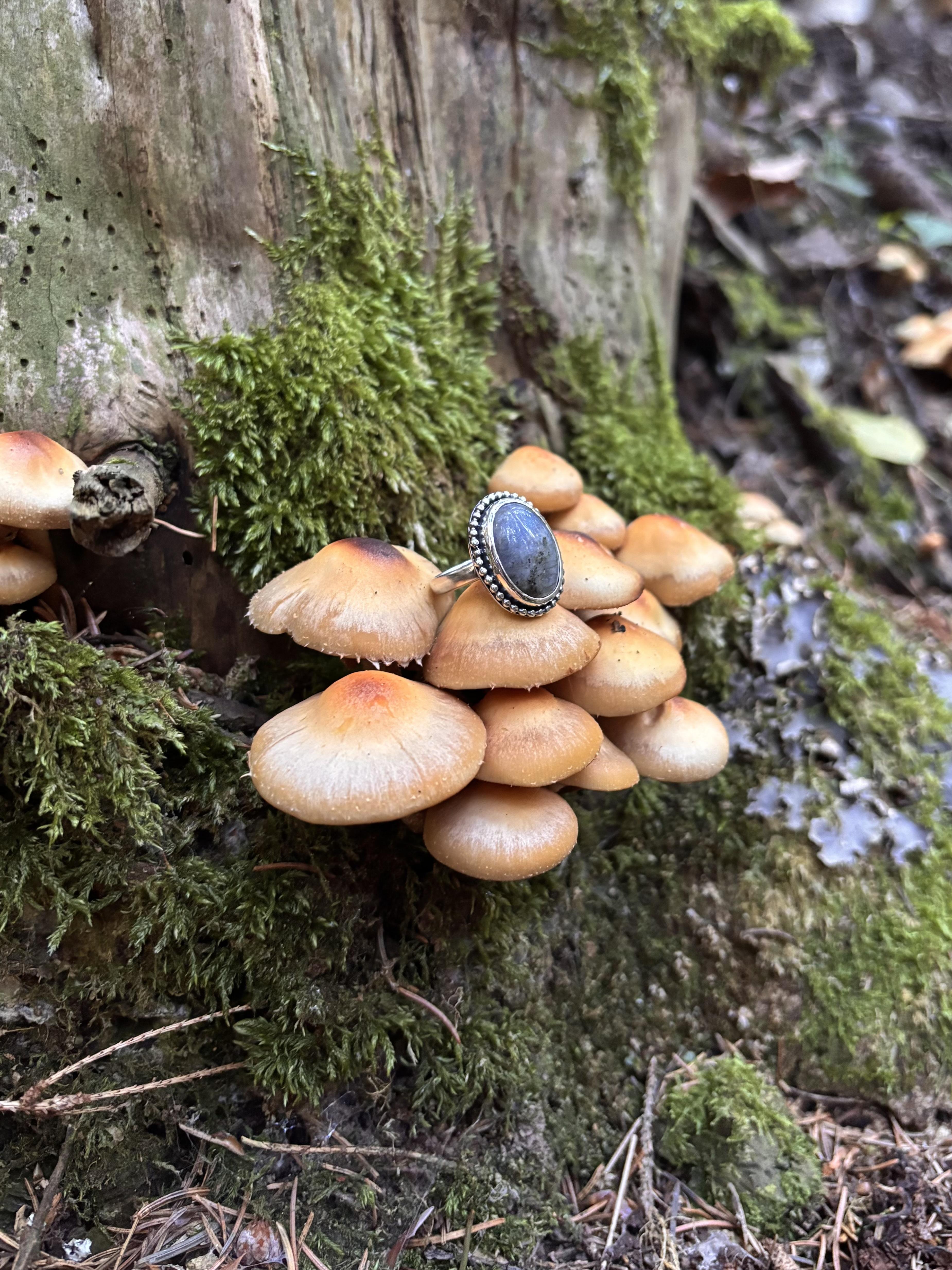 Bagues