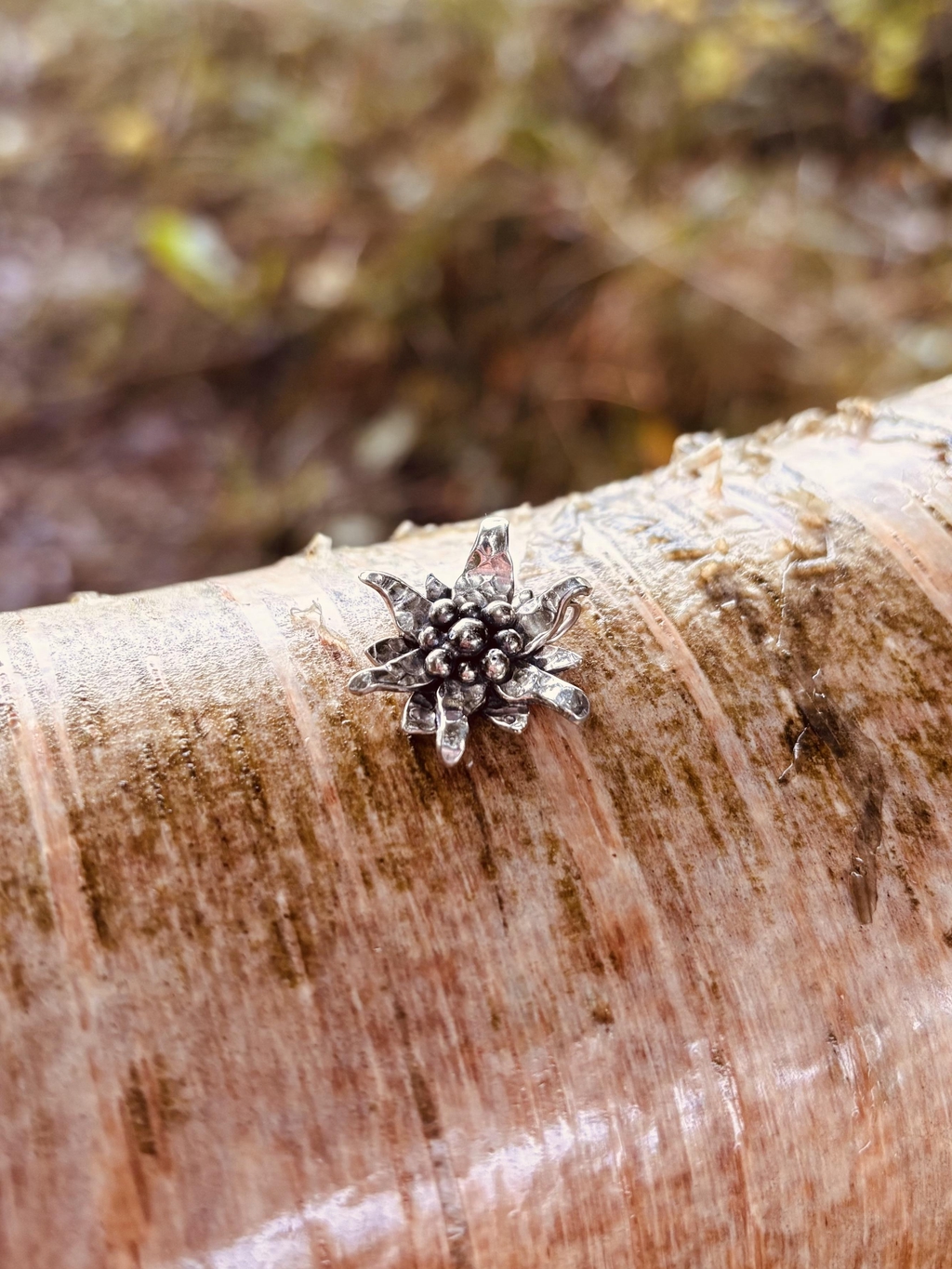 product_list_image_cover