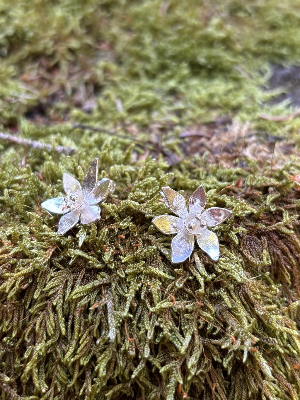 product_list_image_cover